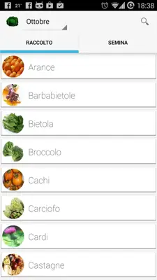 Greengrocer android App screenshot 3